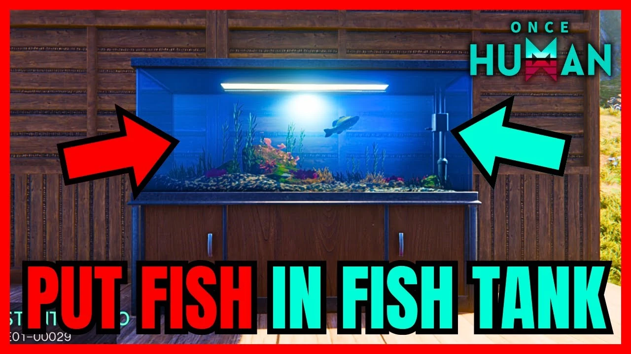 How to Get a Fish Tank in Once Human