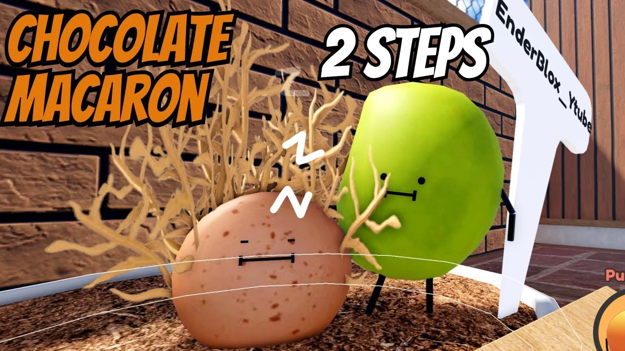 How to Get the Chocolate Macaroon in Secret Station